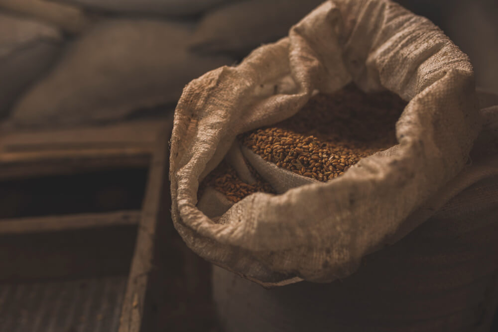 Durum wheat