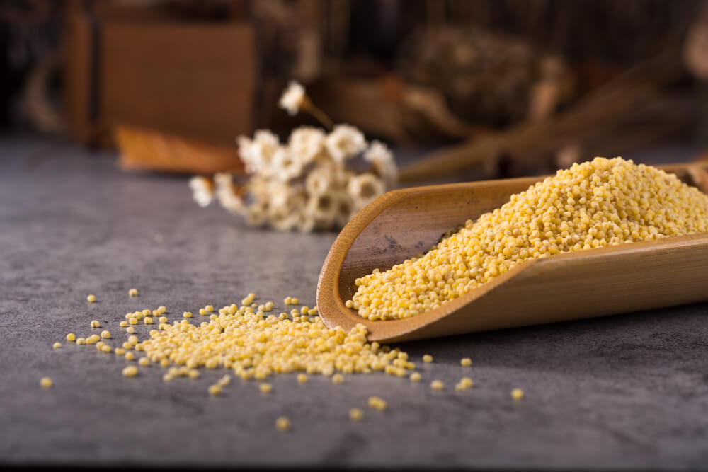 Millet