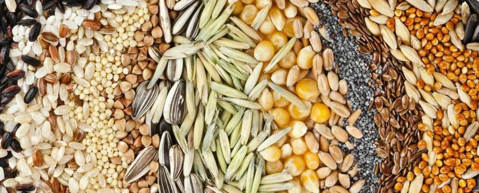 Mixture of grains
